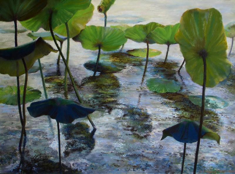 Lotus Leaves by Ken Buck